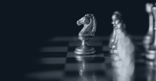 Tax litigation in South Africa illustrating the imbalance between SARS and taxpayers